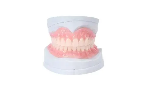 Dental Lab Outsourcing: A Complete Guide to Crowns, Bridges, Dentures and Custom Dental Restorations